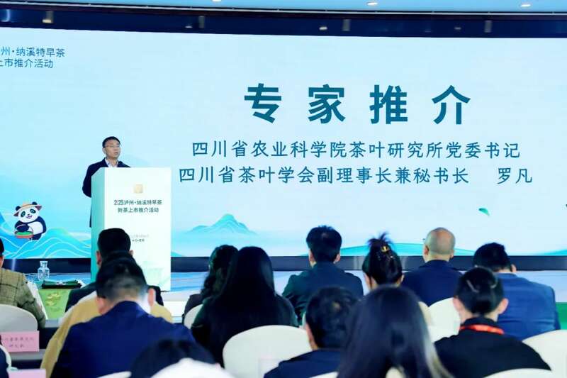 纳溪特早茶春茶推介会开启产业新篇,非遗与商贸融合促发展 全国客商云集成都,共品中国春天的第一杯茶:纳溪特早茶