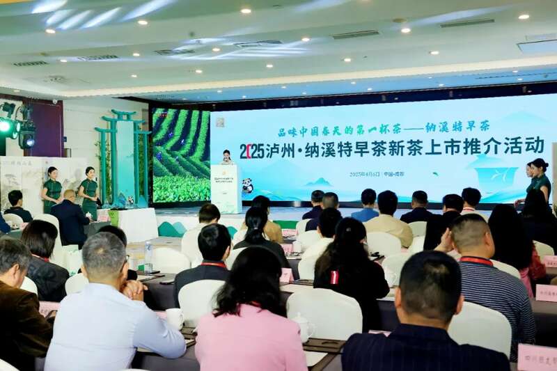 纳溪特早茶春茶推介会开启产业新篇,非遗与商贸融合促发展 全国客商云集成都,共品中国春天的第一杯茶:纳溪特早茶