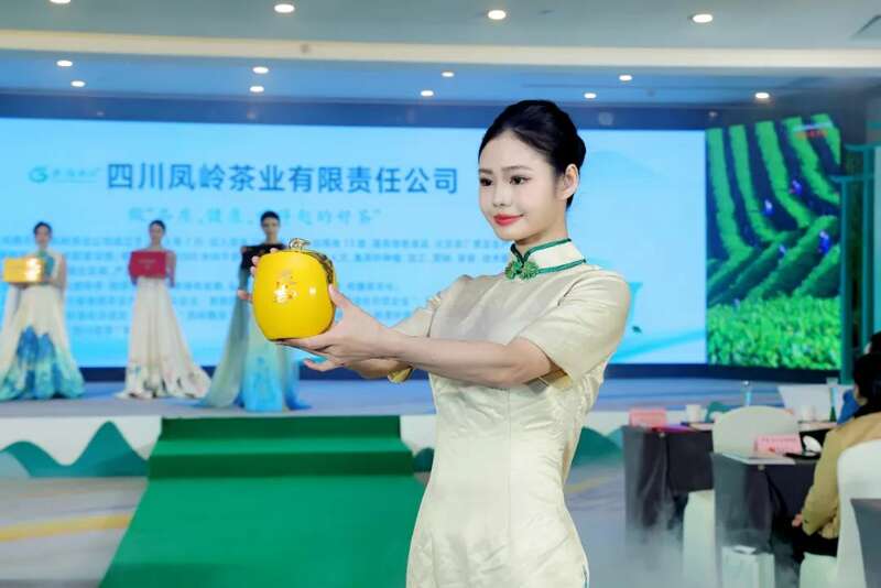 纳溪特早茶春茶推介会开启产业新篇,非遗与商贸融合促发展 全国客商云集成都,共品中国春天的第一杯茶:纳溪特早茶