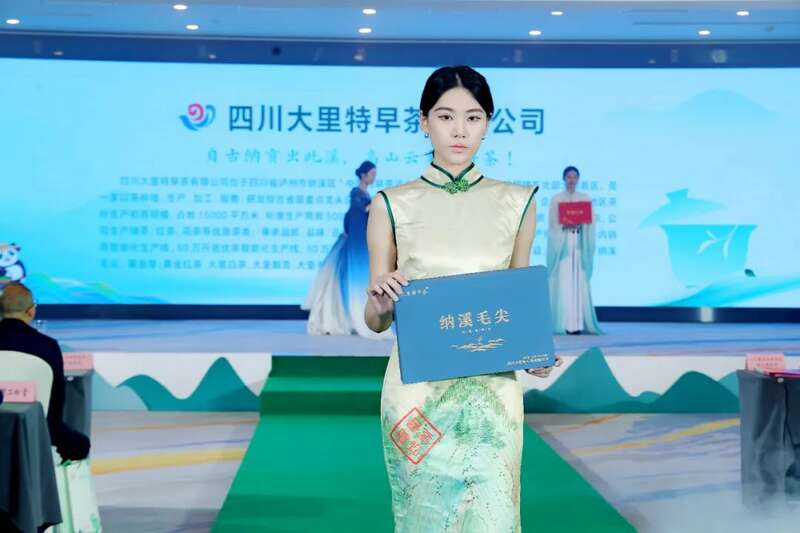 纳溪特早茶春茶推介会开启产业新篇,非遗与商贸融合促发展 全国客商云集成都,共品中国春天的第一杯茶:纳溪特早茶