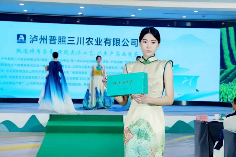 纳溪特早茶春茶推介会开启产业新篇,非遗与商贸融合促发展 全国客商云集成都,共品中国春天的第一杯茶:纳溪特早茶