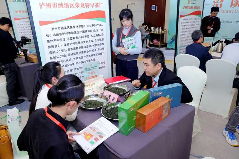 纳溪特早茶春茶推介会开启产业新篇,非遗与商贸融合促发展 全国客商云集成都,共品中国春天的第一杯茶:纳溪特早茶