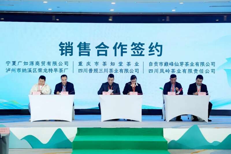 纳溪特早茶春茶推介会开启产业新篇,非遗与商贸融合促发展 全国客商云集成都,共品中国春天的第一杯茶:纳溪特早茶