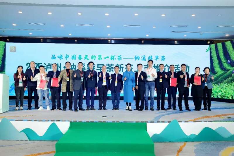 纳溪特早茶春茶推介会开启产业新篇,非遗与商贸融合促发展 全国客商云集成都,共品中国春天的第一杯茶:纳溪特早茶