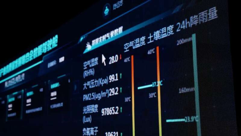 区块链赋能太平猴魁:茶香信任革命与品质升级 一叶一码见真心,数字技术守茶香 新质生产力如何赋能太平猴魁