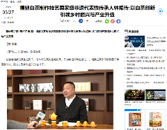 非遗传承与品牌化发展:白茶产业的创新路径探索 活态非遗传承!解锁福鼎白茶品牌化发展新路径!