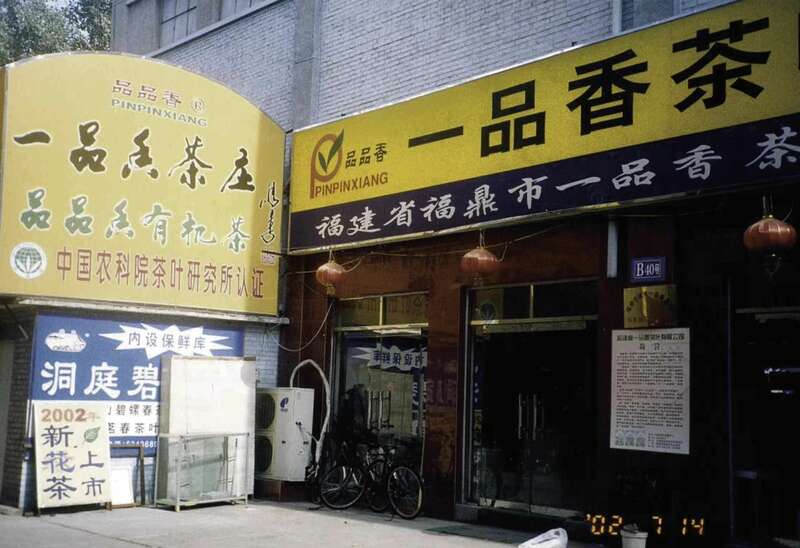 非遗传承与品牌化发展:白茶产业的创新路径探索 活态非遗传承!解锁福鼎白茶品牌化发展新路径!