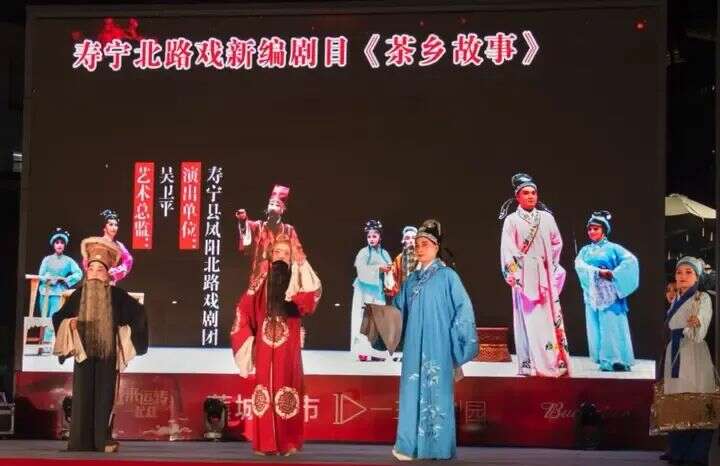 闽浙交界高山茶产业高质量发展探寻生态共富密码 寿宁:茶香漫寿邑,新绿吐芬芳