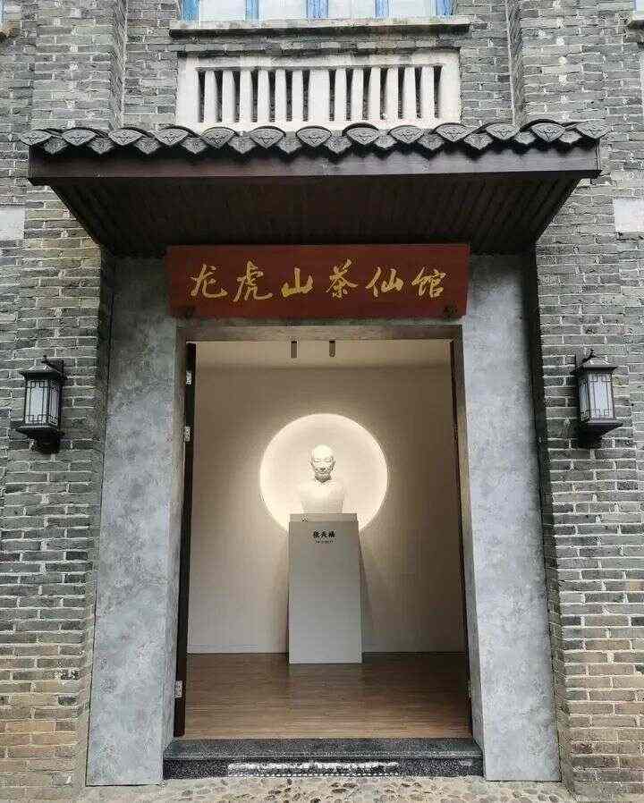 闽浙交界高山茶产业高质量发展探寻生态共富密码 寿宁:茶香漫寿邑,新绿吐芬芳