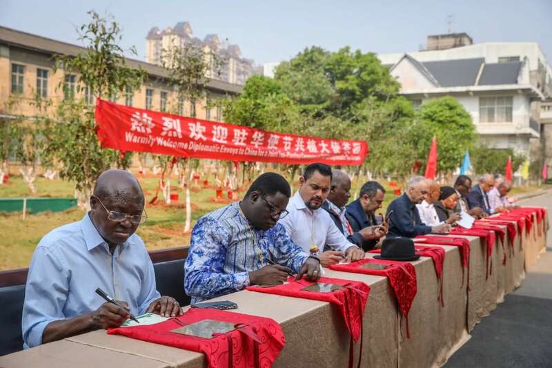 外交官体验非遗茶道 探索东西方文化互鉴新路径 18国使节走进大益 共植友谊茶园,解码“茶香外交”的中国式浪漫