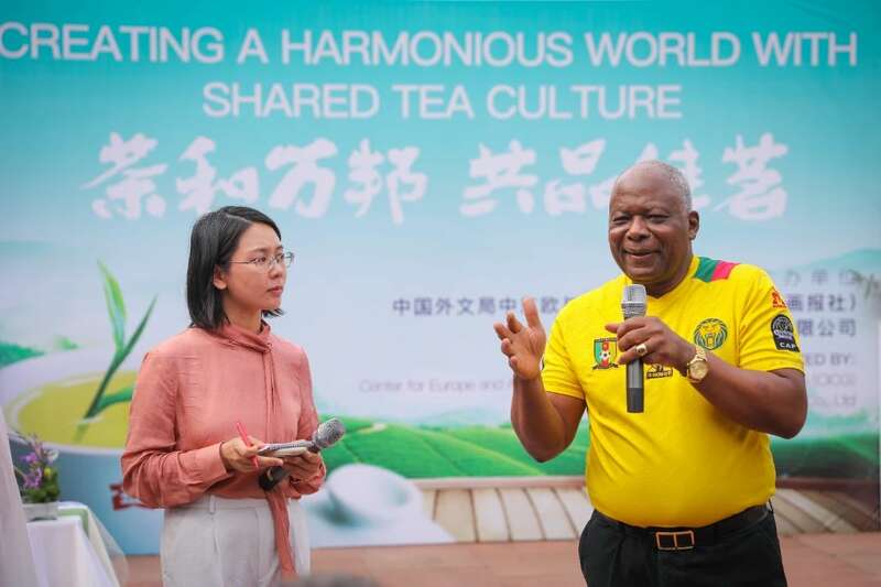 外交官体验非遗茶道 探索东西方文化互鉴新路径 18国使节走进大益 共植友谊茶园,解码“茶香外交”的中国式浪漫