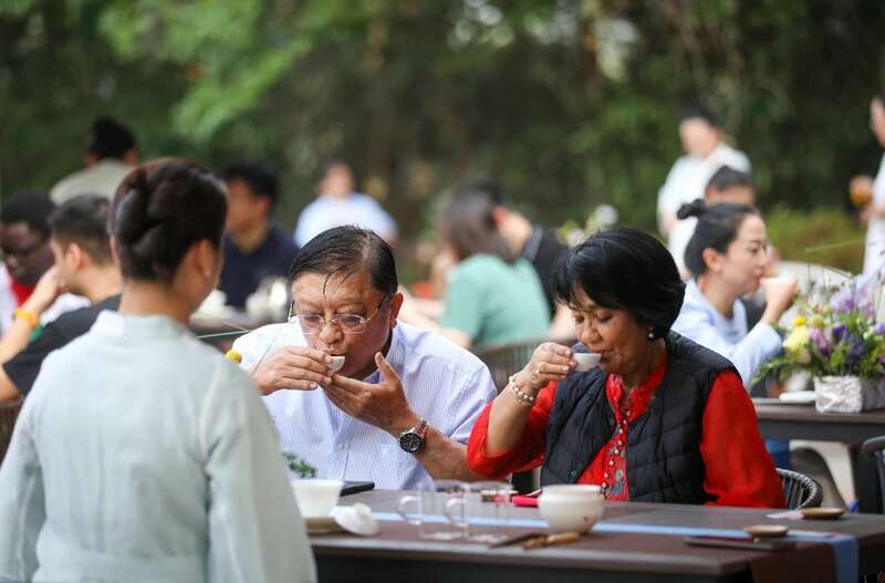 外交官体验非遗茶道 探索东西方文化互鉴新路径 18国使节走进大益 共植友谊茶园,解码“茶香外交”的中国式浪漫