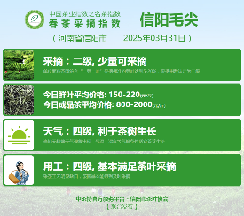 中国茶叶协会联合地方茶业组织推动产业协同 2025春茶季:六安瓜片开采