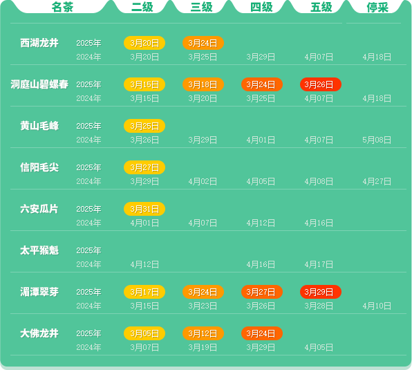 中国茶叶协会联合地方茶业组织推动产业协同 2025春茶季:六安瓜片开采