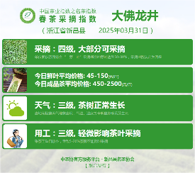 中国茶叶协会联合地方茶业组织推动产业协同 2025春茶季:六安瓜片开采