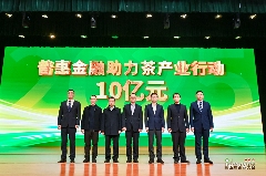 第五届茶商大会助力松溪茶产业品牌升级与乡村振兴 引八方茶客·品松溪茶韵——第五届茶商大会盛大开幕