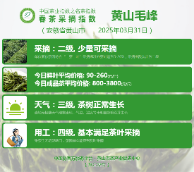 中国茶叶协会联合地方茶业组织推动产业协同 2025春茶季:六安瓜片开采