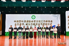 第五届茶商大会助力松溪茶产业品牌升级与乡村振兴 引八方茶客·品松溪茶韵——第五届茶商大会盛大开幕