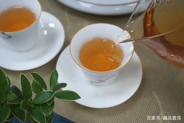 口粮茶选购指南：关键因素与避坑技巧