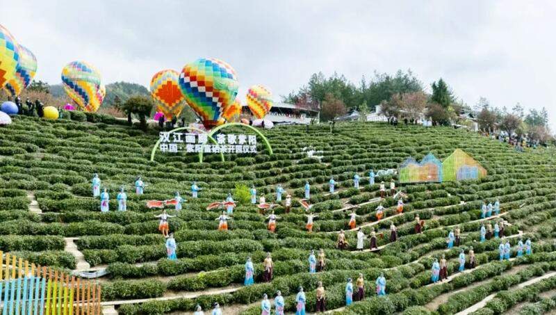 紫阳富硒茶开园仪式启幕 茶文旅融合推进特色农业振兴 陕西紫阳26万亩富硒茶开园