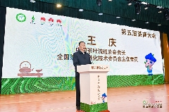 第五届茶商大会助力松溪茶产业品牌升级与乡村振兴 引八方茶客·品松溪茶韵——第五届茶商大会盛大开幕