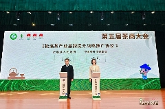 第五届茶商大会助力松溪茶产业品牌升级与乡村振兴 引八方茶客·品松溪茶韵——第五届茶商大会盛大开幕