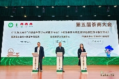 第五届茶商大会助力松溪茶产业品牌升级与乡村振兴 引八方茶客·品松溪茶韵——第五届茶商大会盛大开幕