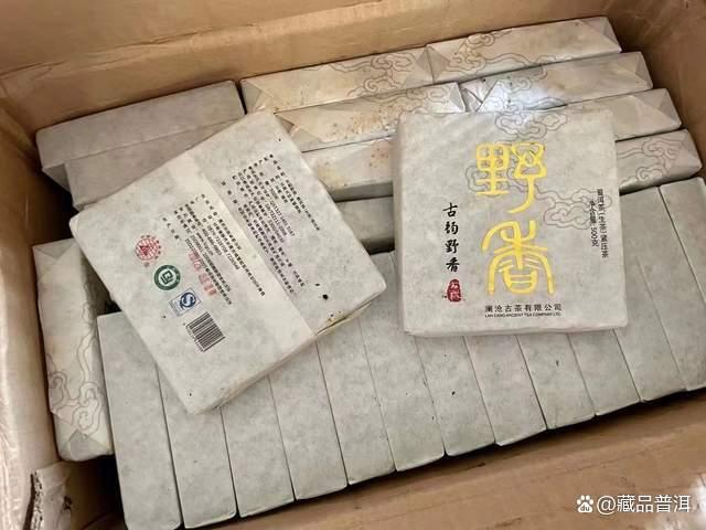 2012澜沧古韵野香品质解析 野韵浓烈山野气韵凸显