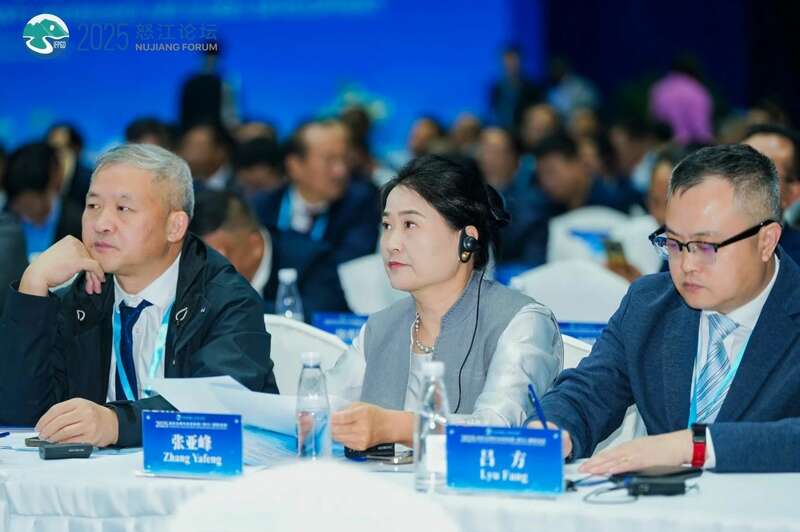 茶文旅融合赋能乡村振兴与全球减贫发展 2025怒江国际论坛 张亚峰做专题发言:以茶文旅融合赋能边疆乡村可持续发展