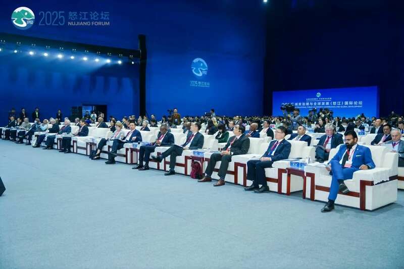茶文旅融合赋能乡村振兴与全球减贫发展 2025怒江国际论坛 张亚峰做专题发言:以茶文旅融合赋能边疆乡村可持续发展