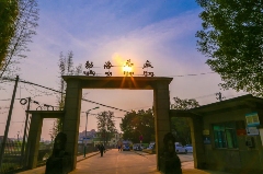 茶文旅融合赋能乡村振兴与全球减贫发展 2025怒江国际论坛 张亚峰做专题发言:以茶文旅融合赋能边疆乡村可持续发展