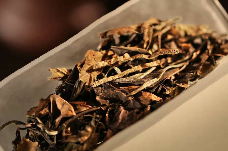 8年陈皮白茶,时光酝酿甘甜健康佳饮 岁悦老陈皮白茶:8年岁月,酿成愉悦人心的小甜水