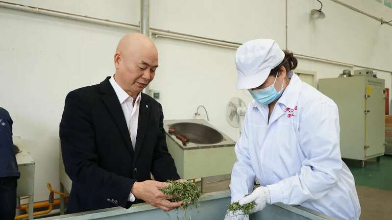 蒙顶山茶企斩获亿元订单 传统工艺与现代技术共融 5.2亿元订单落地 茶企开足马力保交付!