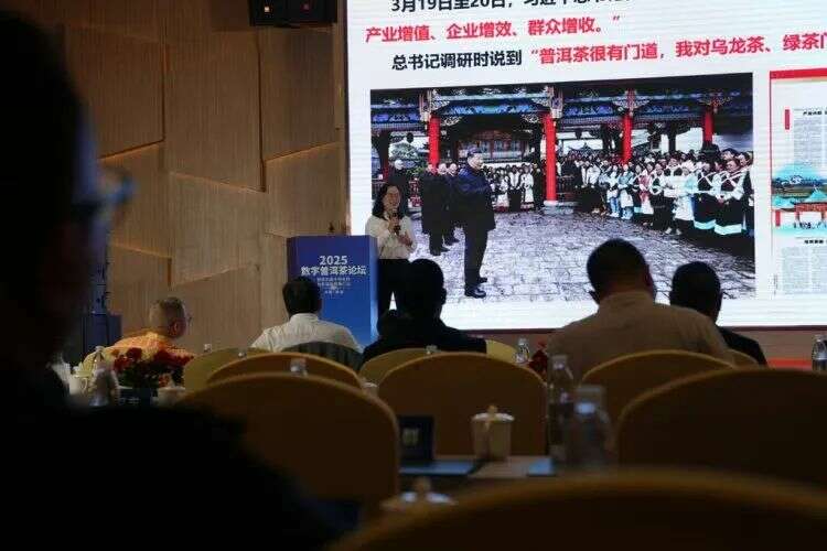 普洱茶产研数字化探索与高质量发展路径 2025数字普洱茶论坛在勐海县举办