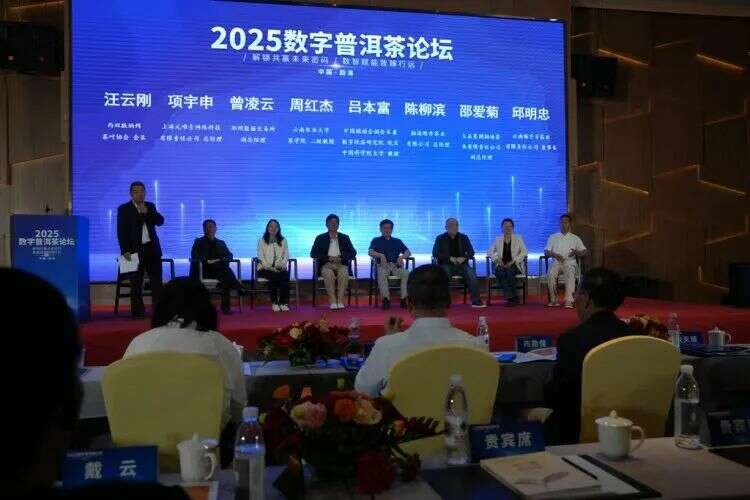 普洱茶产研数字化探索与高质量发展路径 2025数字普洱茶论坛在勐海县举办