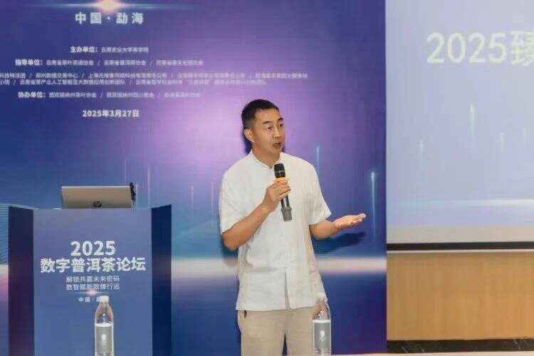 普洱茶产研数字化探索与高质量发展路径 2025数字普洱茶论坛在勐海县举办