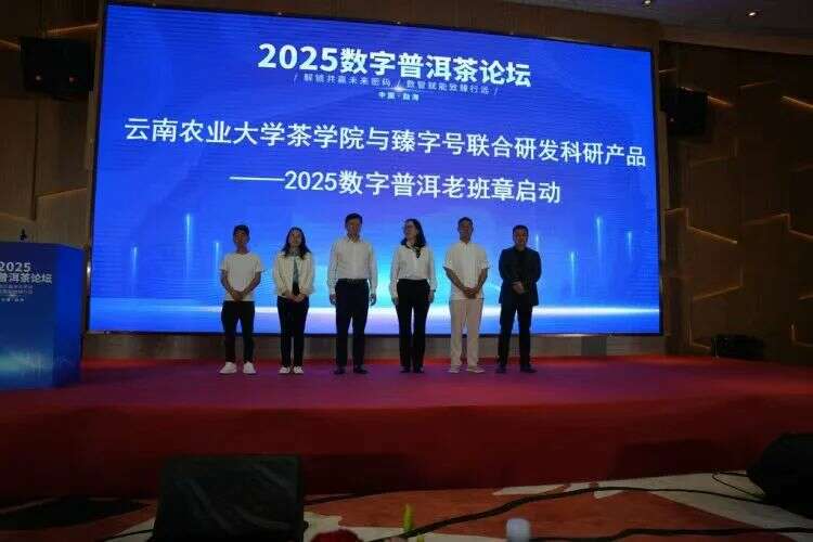 普洱茶产研数字化探索与高质量发展路径 2025数字普洱茶论坛在勐海县举办