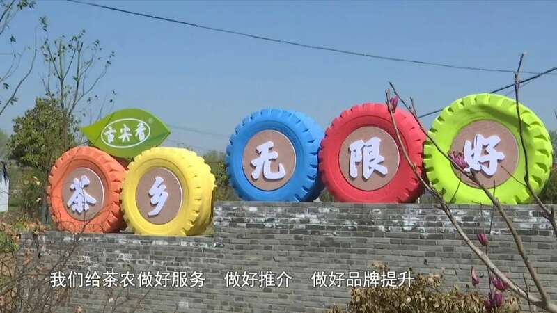春茶采摘忙,第一波徽茶已陆续上市 春茶采摘忙,第一波徽茶已陆续上市