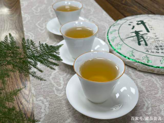 普洱茶开春第一饼接龙命名与鲜爽原料解析