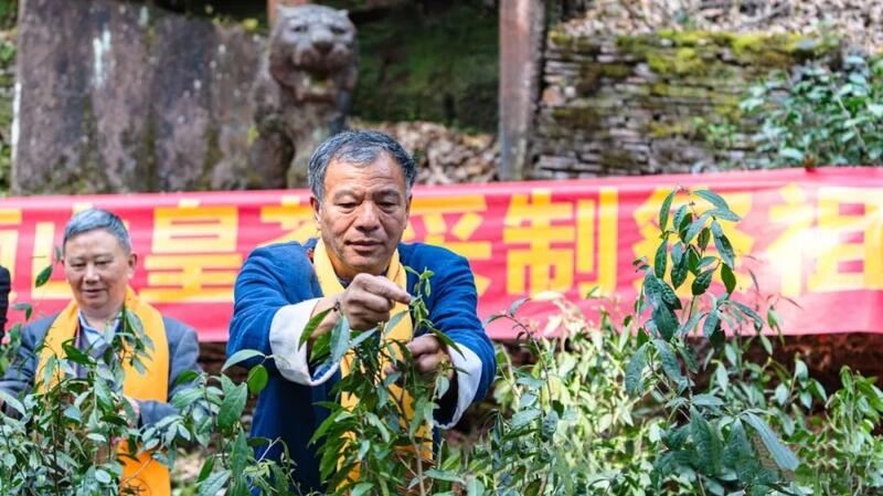 蒙顶山皇茶采制祭祖大典:传承茶祖文化,彰显传统仪式 2025年蒙顶山皇茶采制祭祖大典隆重举行