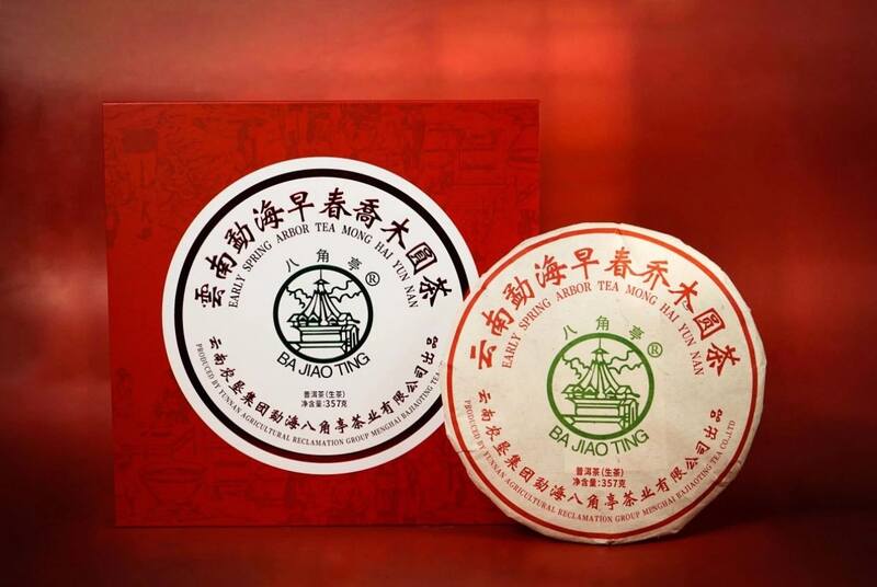 早春乔木圆茶经典再现 雅韵山野二重奏 八角亭云南勐海早春乔木圆茶 经典再现,传奇新生!