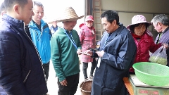福鼎白茶全面实行“两标合一”打造数字化品牌防线 福鼎白茶“两标合一”!解读来了