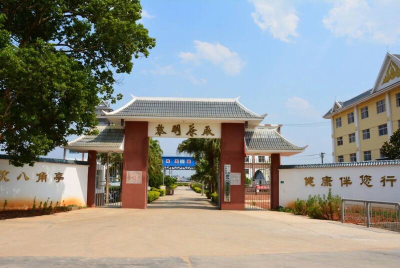 早春乔木圆茶经典再现 雅韵山野二重奏 八角亭云南勐海早春乔木圆茶 经典再现,传奇新生!