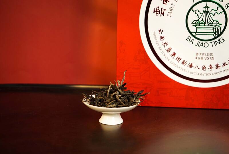 早春乔木圆茶经典再现 雅韵山野二重奏 八角亭云南勐海早春乔木圆茶 经典再现,传奇新生!