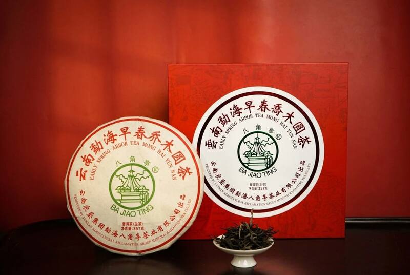 早春乔木圆茶经典再现 雅韵山野二重奏 八角亭云南勐海早春乔木圆茶 经典再现,传奇新生!