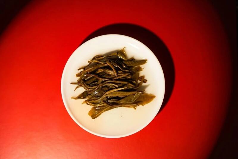 早春乔木圆茶经典再现 雅韵山野二重奏 八角亭云南勐海早春乔木圆茶 经典再现,传奇新生!
