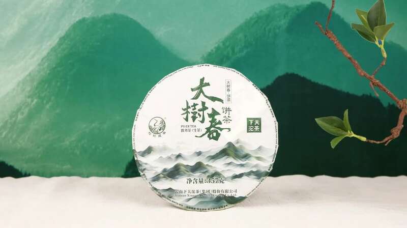 细品春韵香气,大树春饼茶的自然清甜与持久醇厚 下关大树春饼茶 细酌高山云雾滋养出的“春韵”
