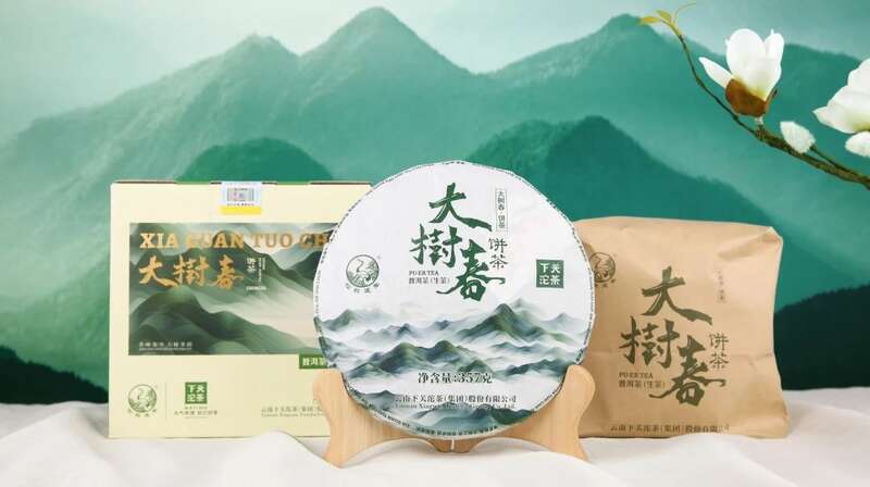 细品春韵香气,大树春饼茶的自然清甜与持久醇厚 下关大树春饼茶 细酌高山云雾滋养出的“春韵”