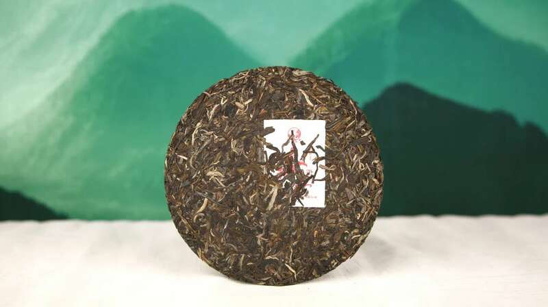 细品春韵香气,大树春饼茶的自然清甜与持久醇厚 下关大树春饼茶 细酌高山云雾滋养出的“春韵”