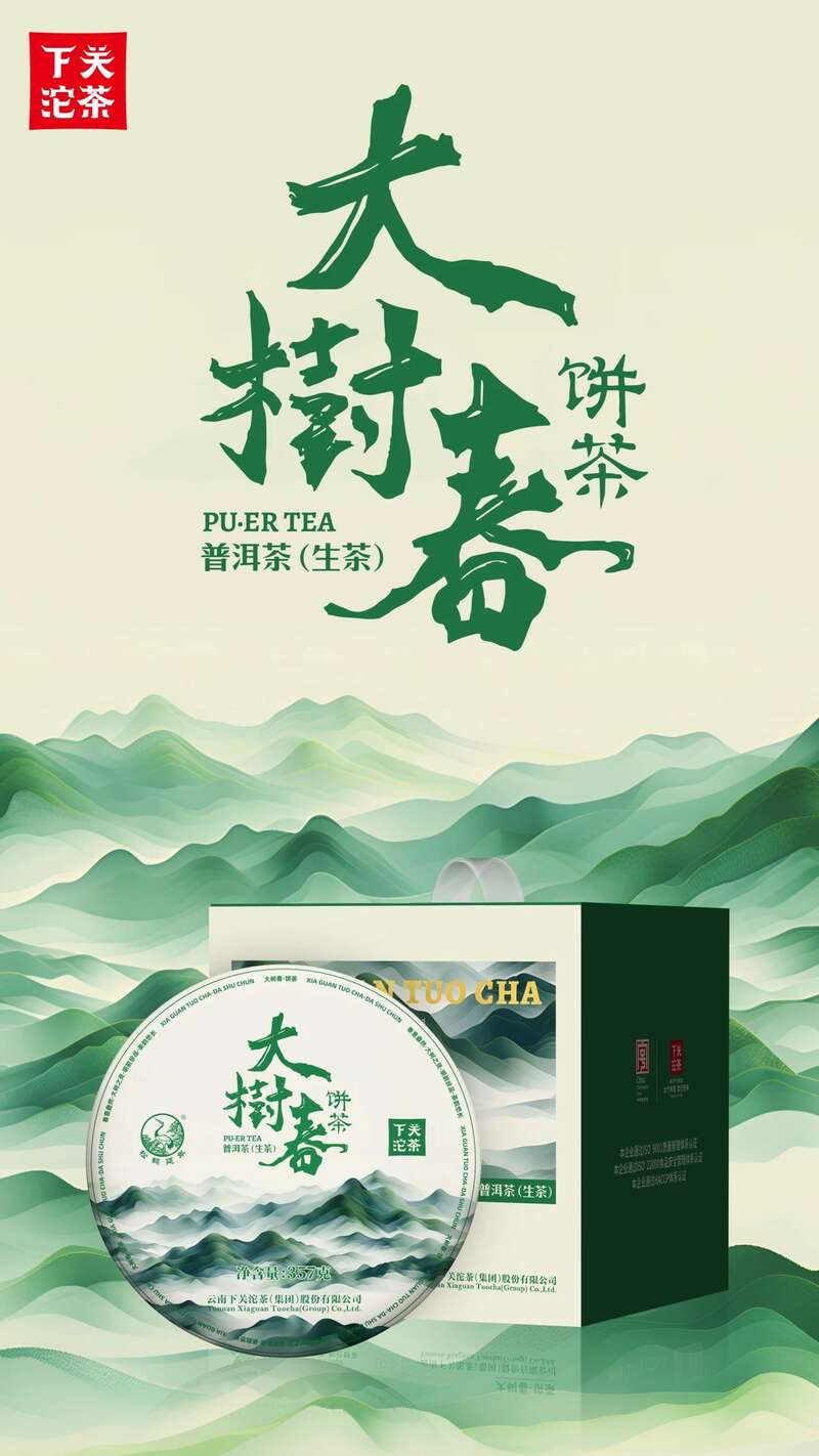 细品春韵香气,大树春饼茶的自然清甜与持久醇厚 下关大树春饼茶 细酌高山云雾滋养出的“春韵”